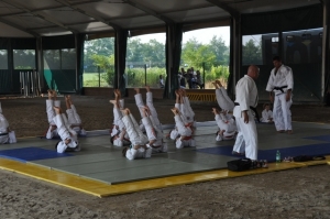 GINNASTICA JUDO 2